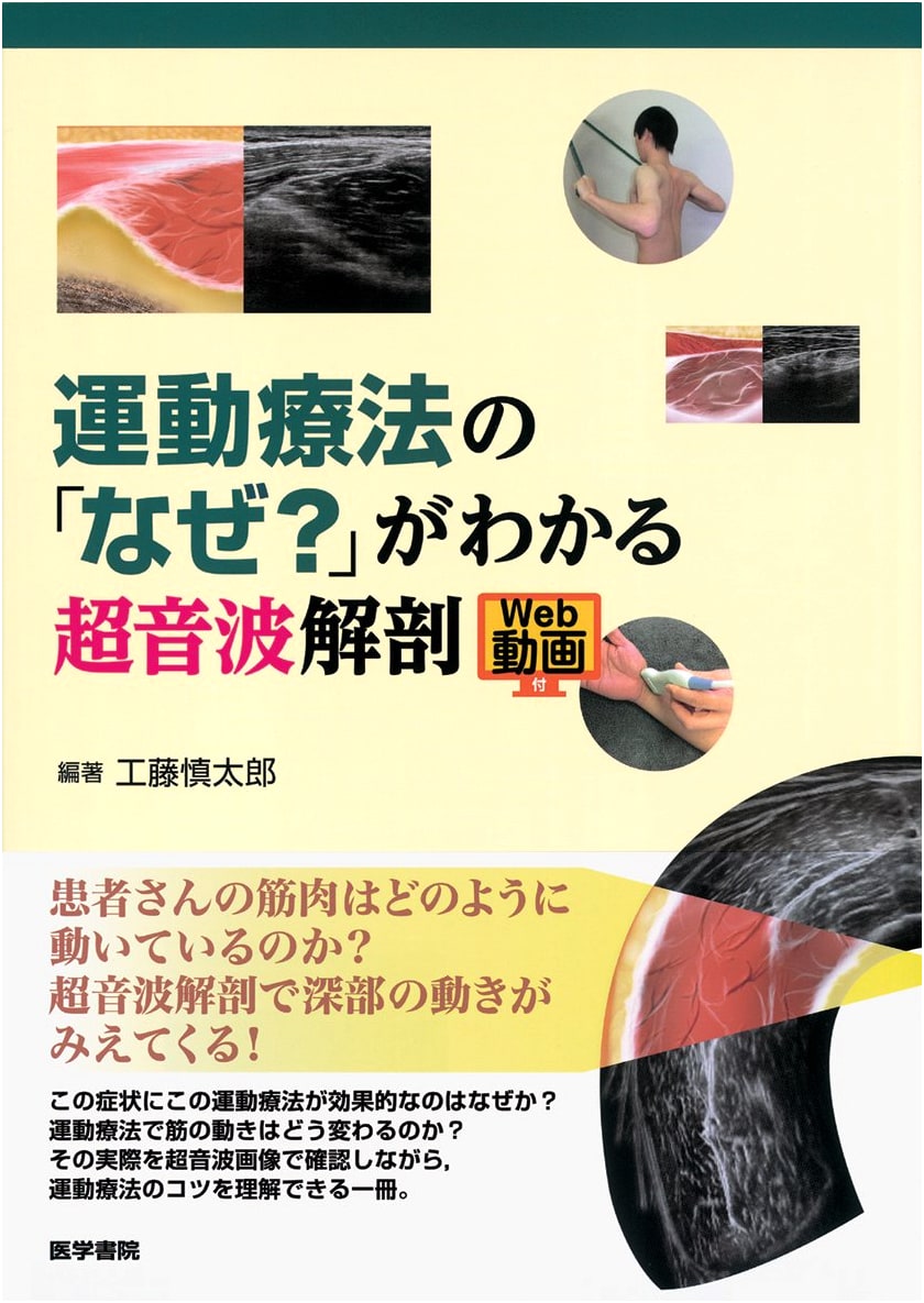 Ultrasonographic Anatomy: Understanding the 'Why?' of Exercise Therapy [with Web Videos]