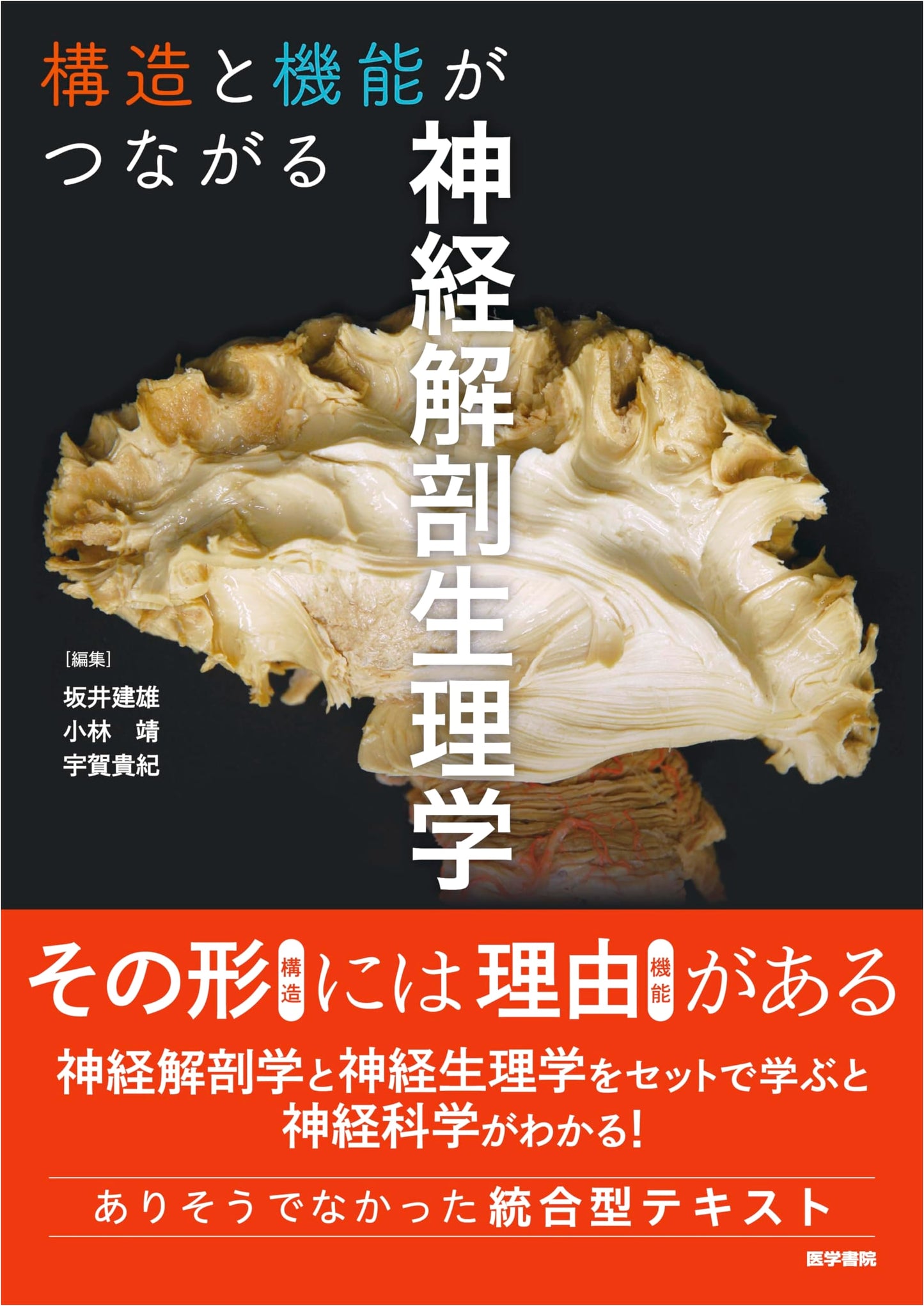 Neuroanatomy and Physiology: Connecting Structure and Function