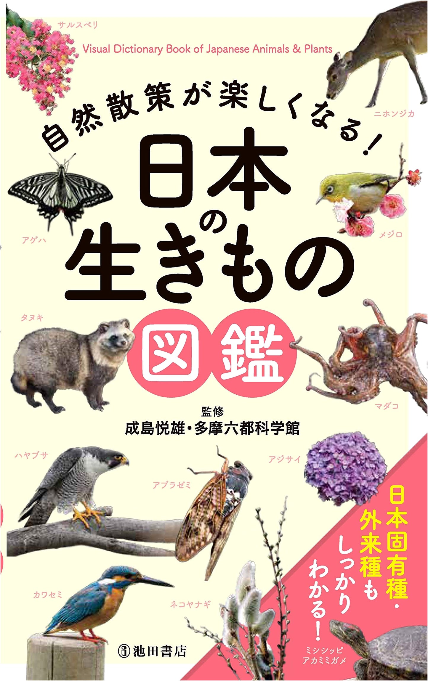 A Field Guide to Japanese Wildlife: Enjoying Nature Walks!