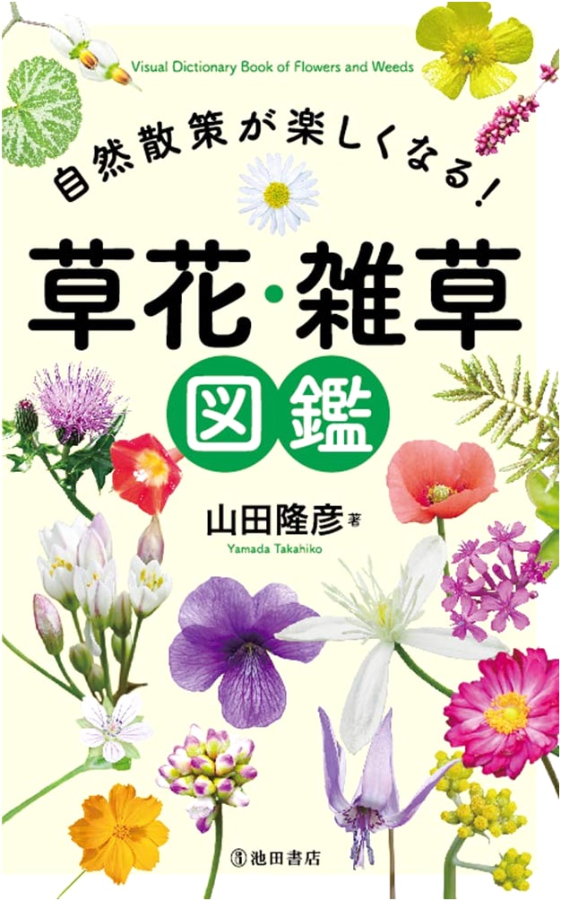 Enjoy Nature Walks: Illustrated Guide to Wildflowers & Weeds
