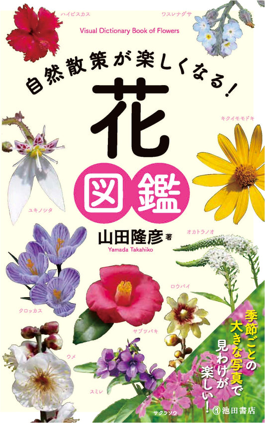 Flower Guide for Enjoyable Nature Walks