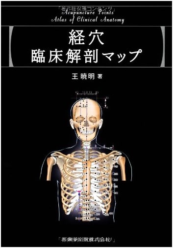 Clinical Anatomy Map of Acupoints