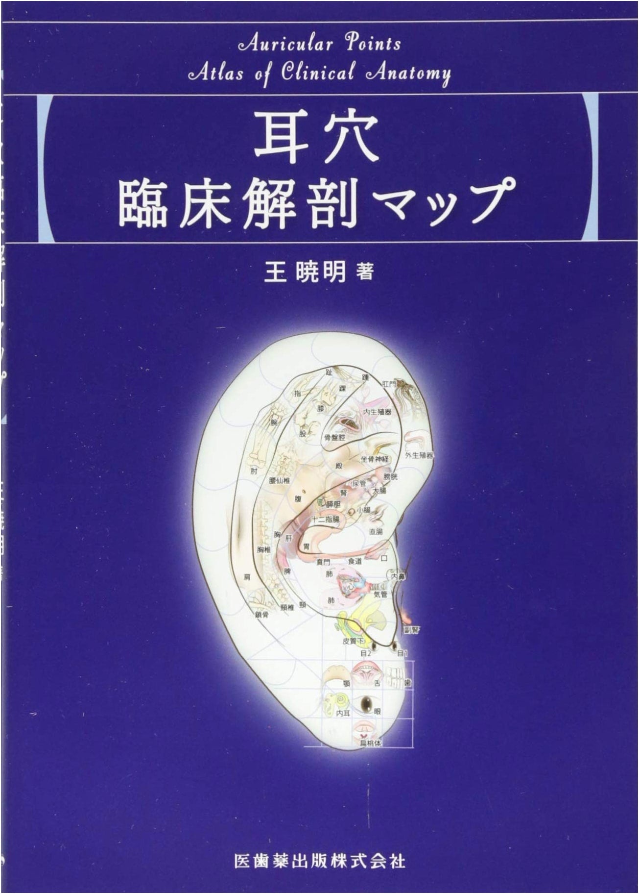 Clinical Anatomy Atlas of the Ear Canal