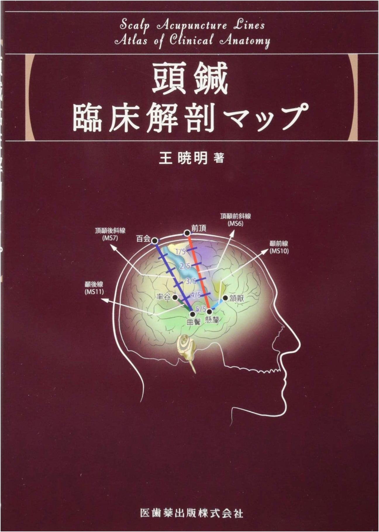 Scalp Acupuncture: Clinical Anatomy Maps for Practice