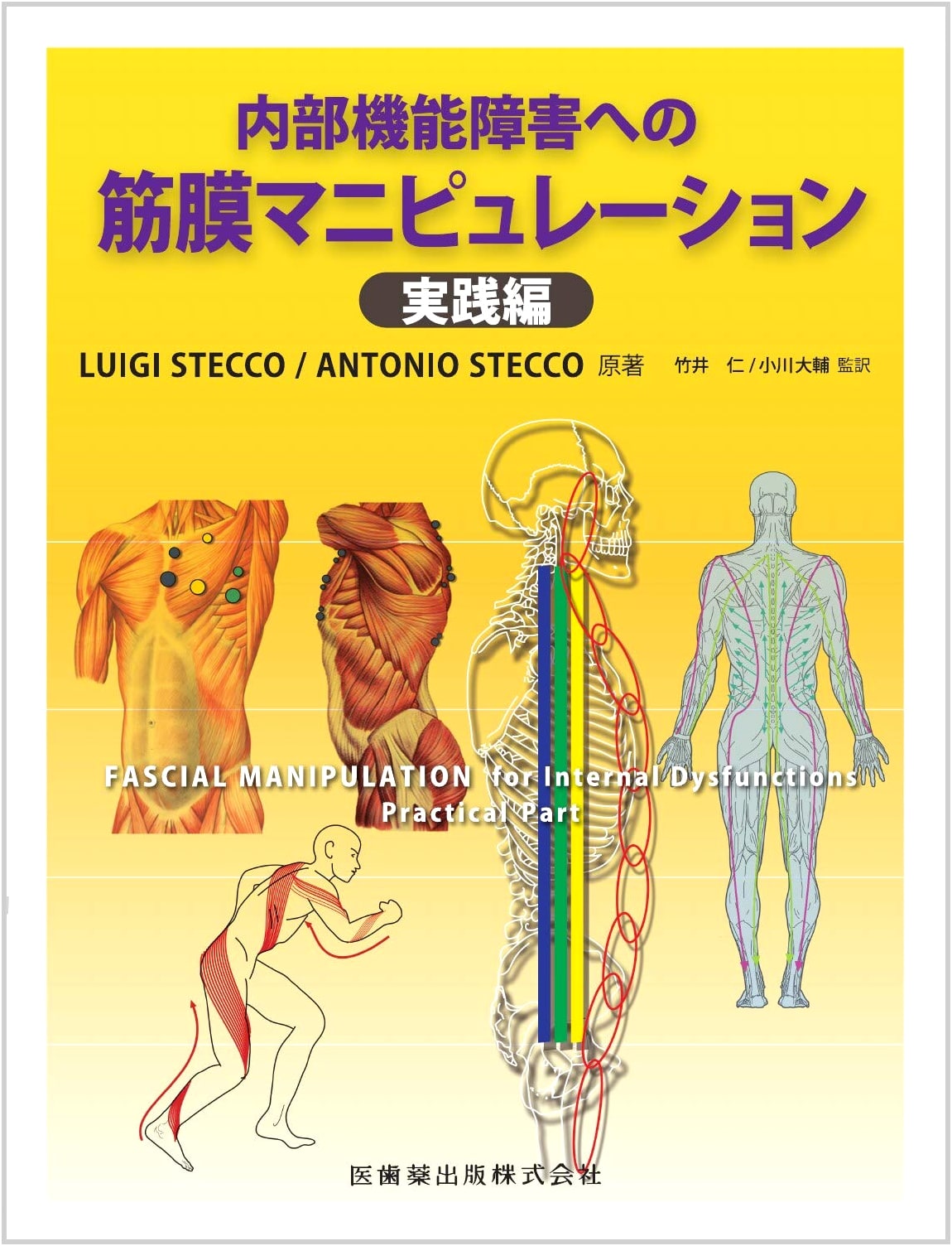 Fascial Manipulation for Internal Functional Disorders: Practical Edition