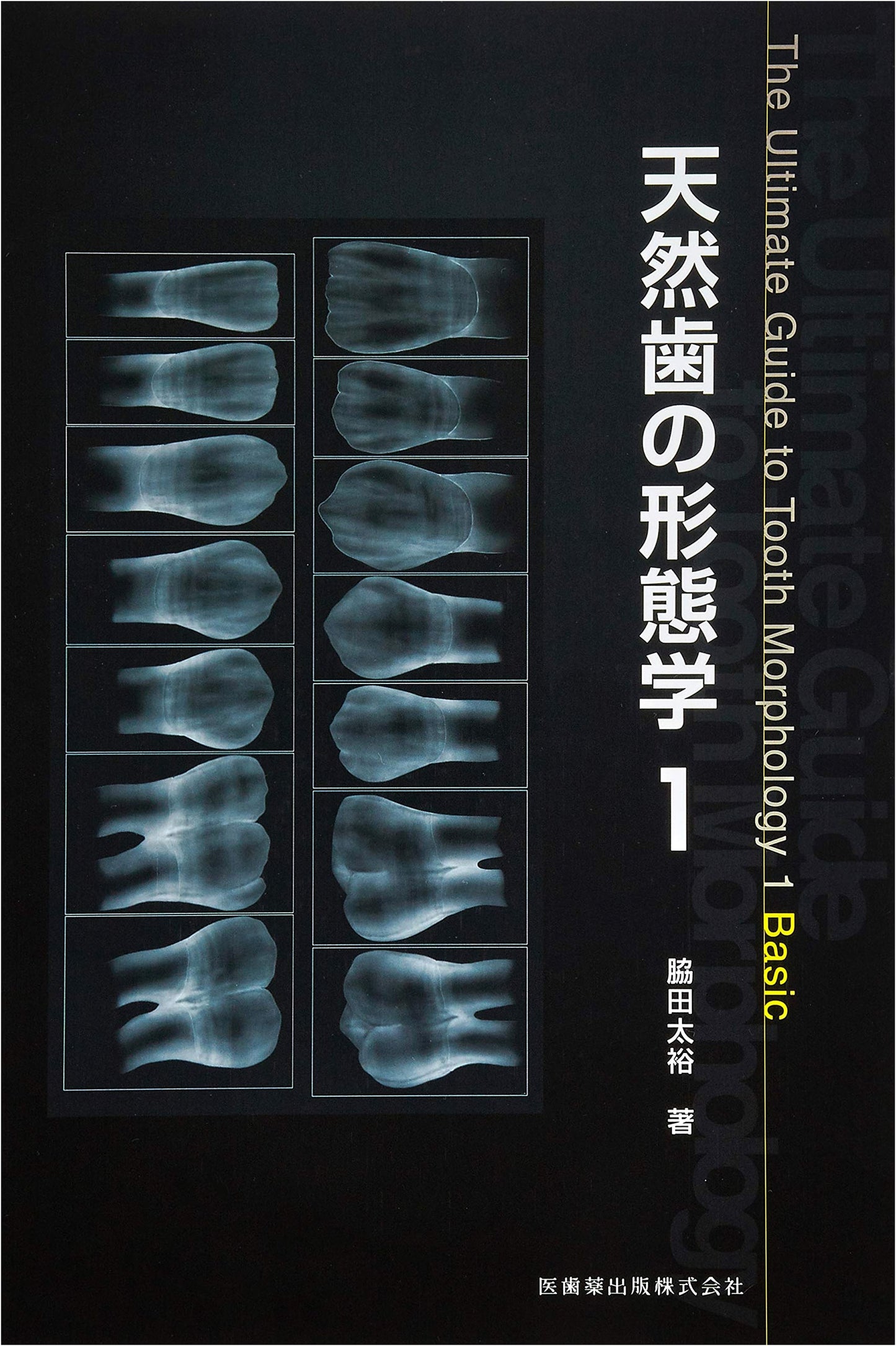 Morphology of Natural Teeth (Volume 1)
