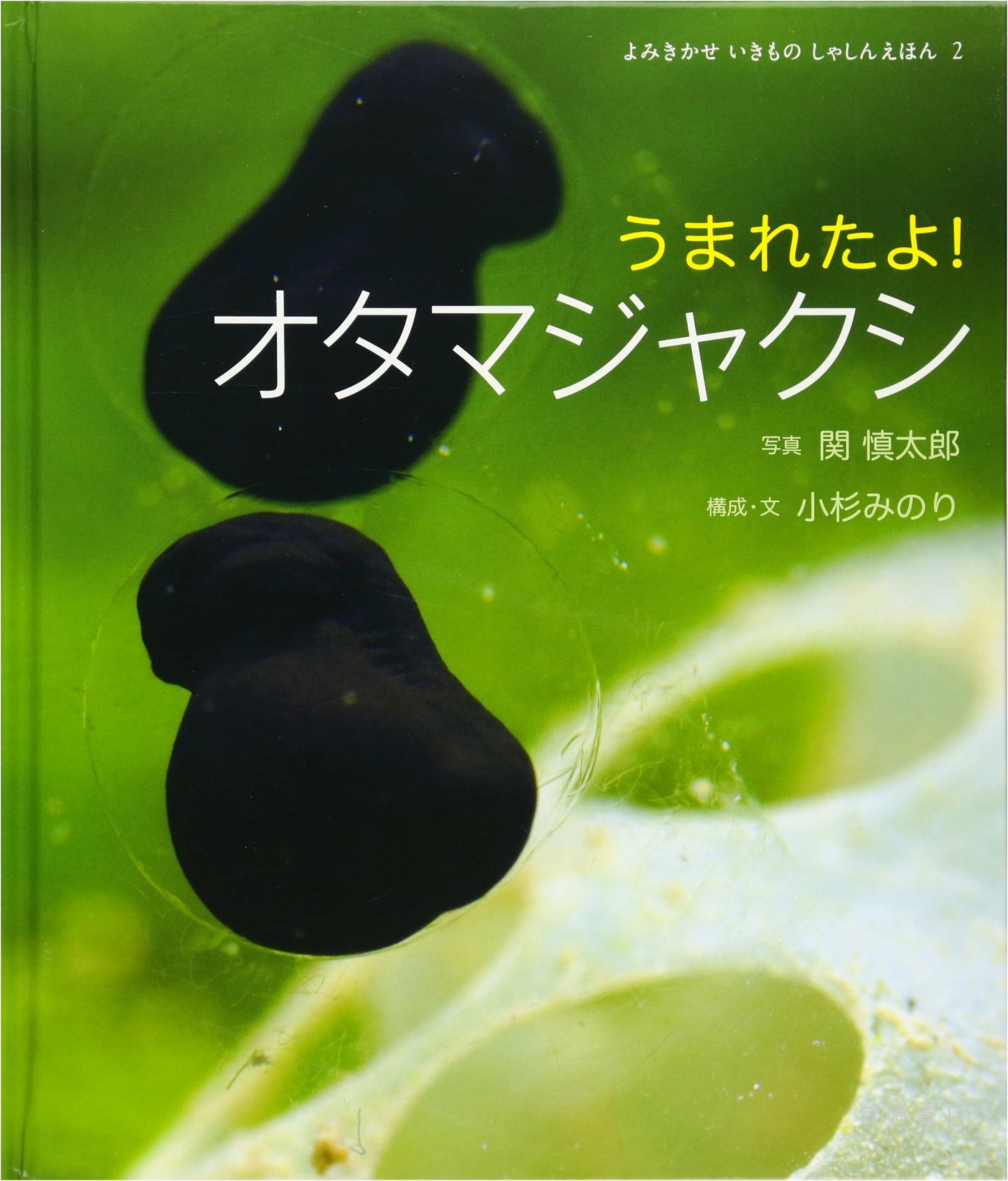 The Birth of a Tadpole: A Read-Aloud Animal Photo Picture Book 2