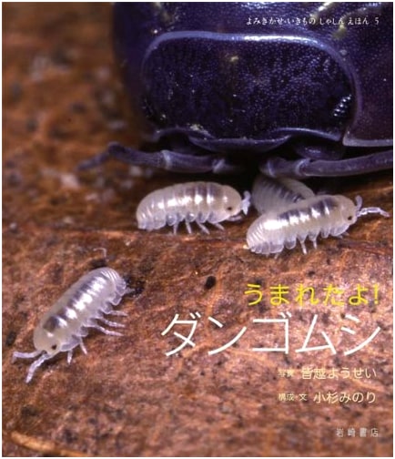 Pill Bugs Are Born! A Read-Aloud Animal Photo Book (Vol. 5)
