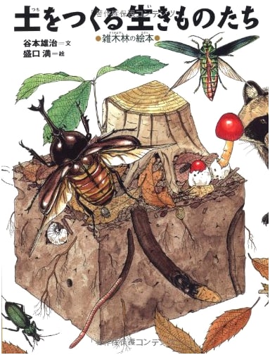 Creatures That Build Soil: A Storybook of the Mixed Forest (Knowledge Pocket 1)