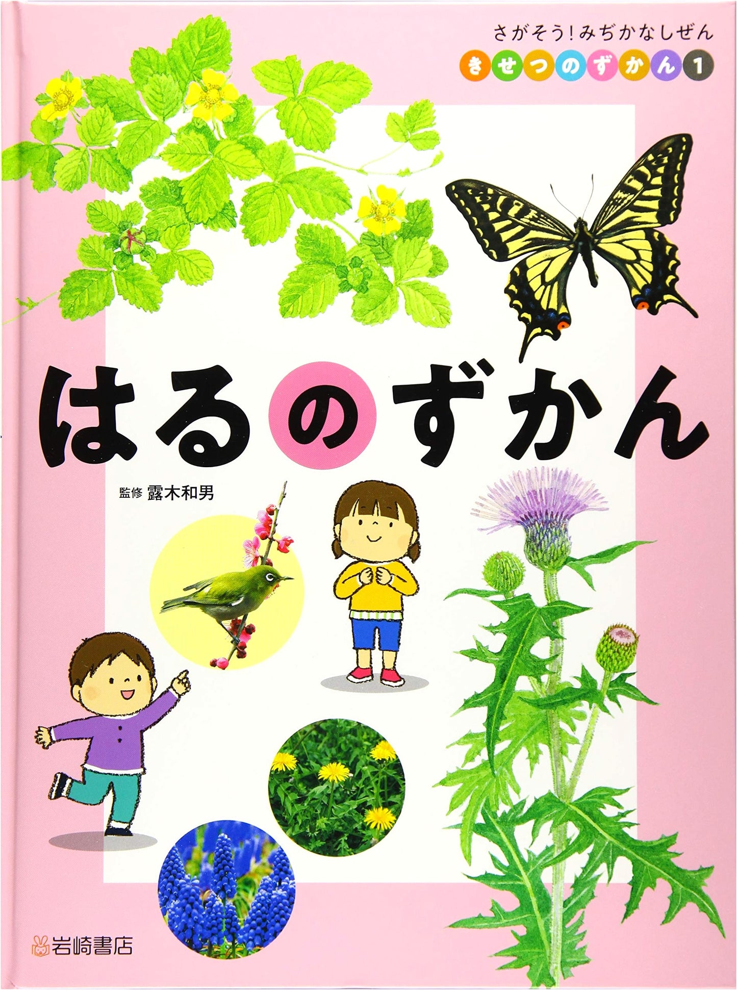 Discover Nature Around You: A Seasonal Illustrated Guide - Vol. 1: Spring