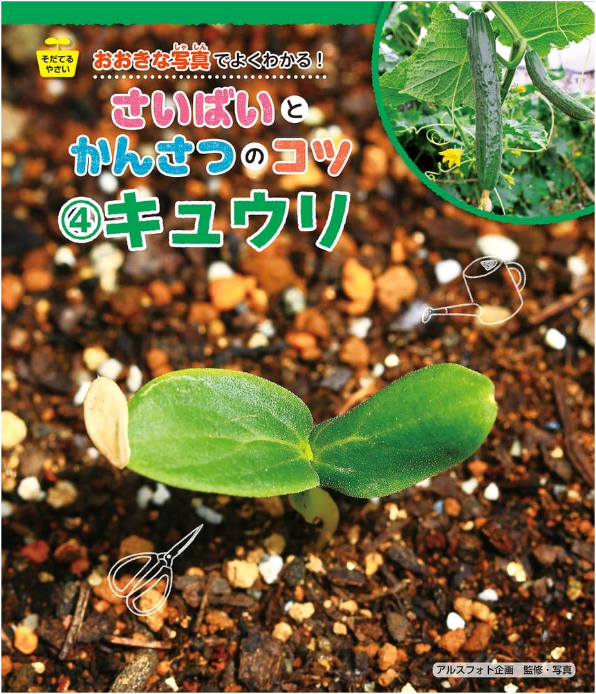Growing Vegetables: Cultivation & Observation with Large Photos (Vol. 4: Cucumber)