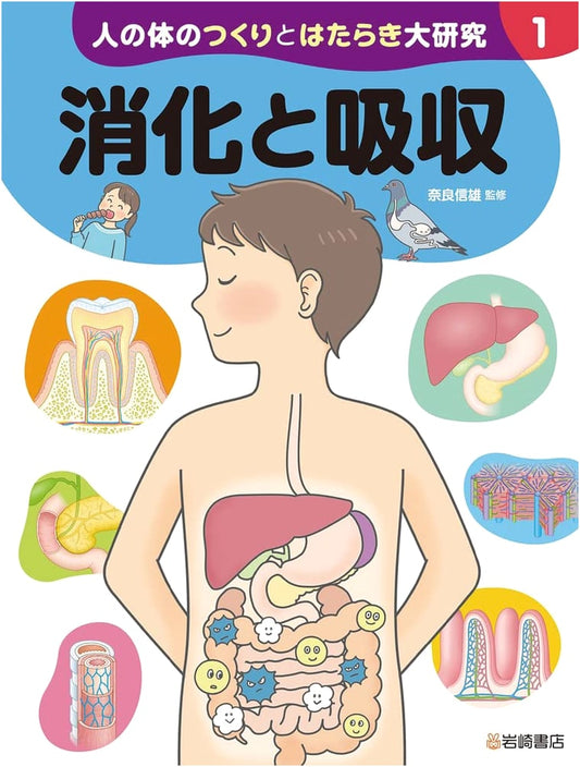 Understanding the Human Body: Structure & Function (Vol. 1) - Digestion & Absorption
