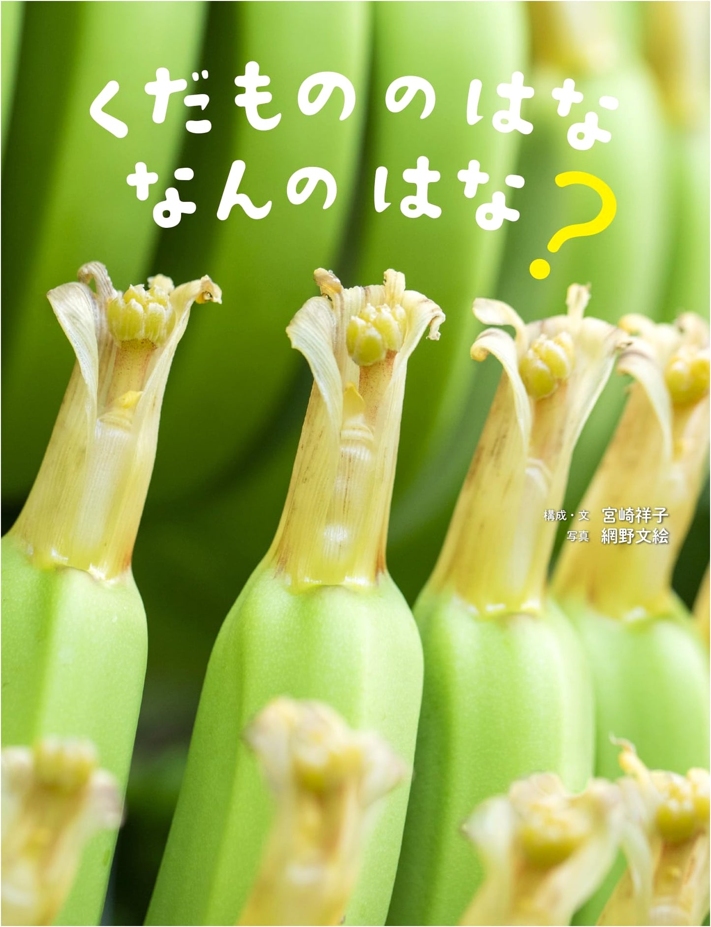 Fruit Flowers: What Kind of Flowers Are They? A Science Picture Book