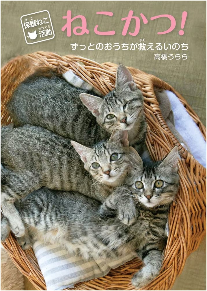 Nekokatsu! Cat Rescue Activities: Lives Saved by Forever Homes