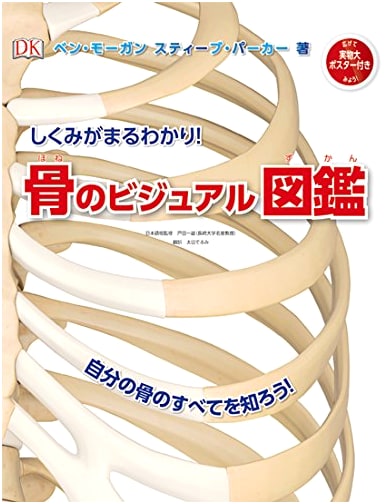 Fully Illustrated Guide to the Mechanisms of Bones