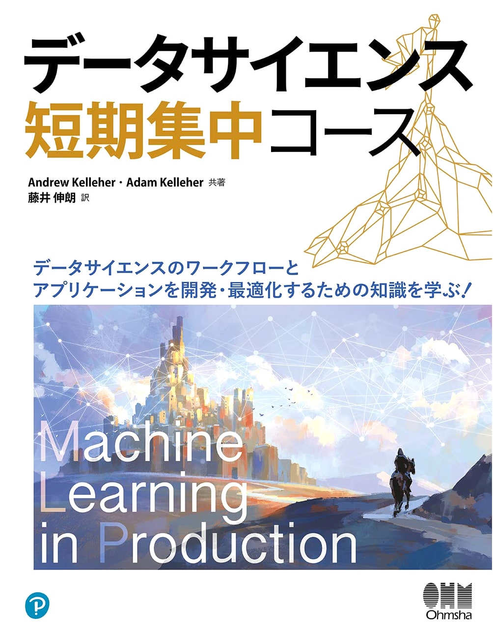 Intensive Data Science Course