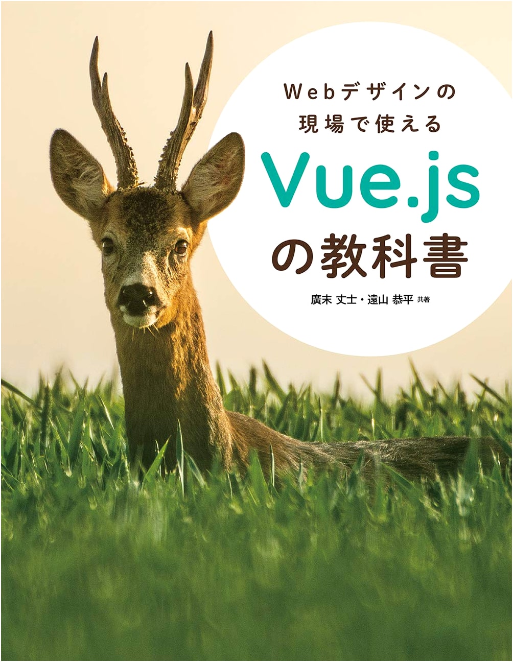 A Practical Vue.js Textbook for Web Design Professionals