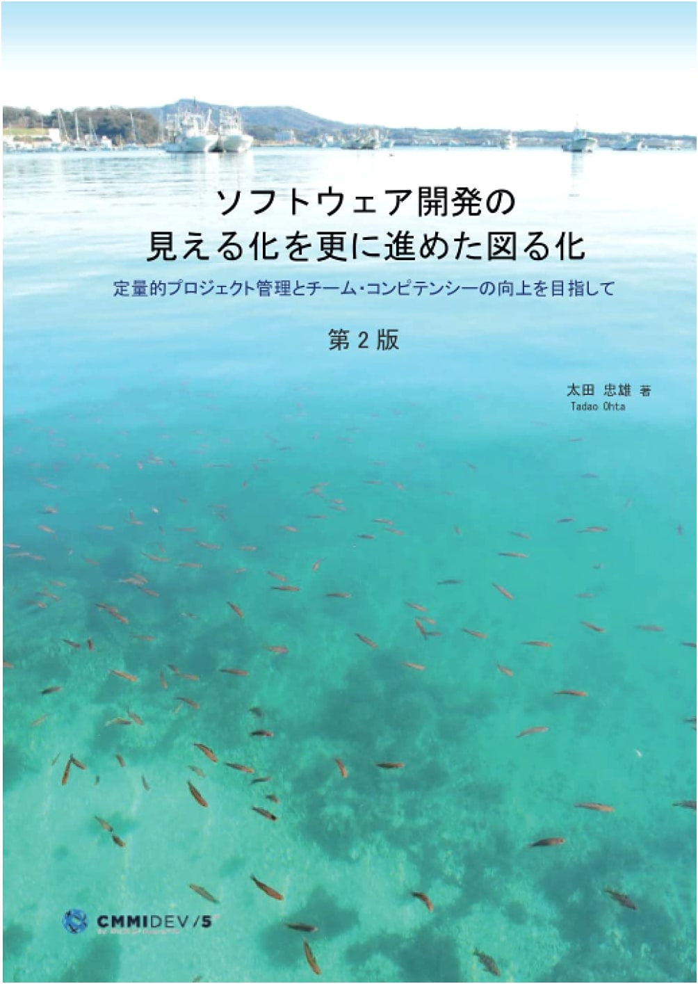 From Visualization to Quantification in Software Development: Quantitative Project Management & Team Competency (2nd Ed.)