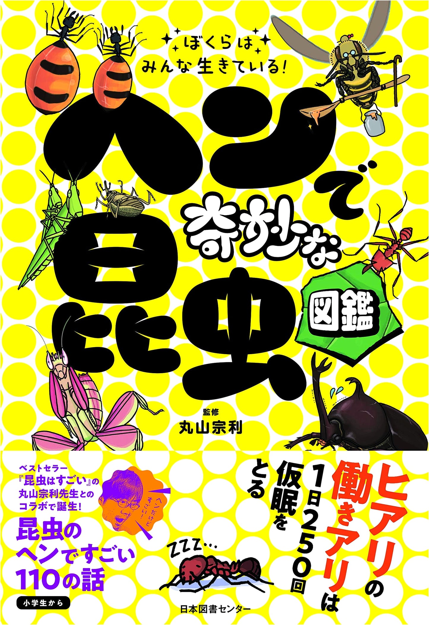 We're All Alive! A Field Guide to Weird and Wonderful Insects