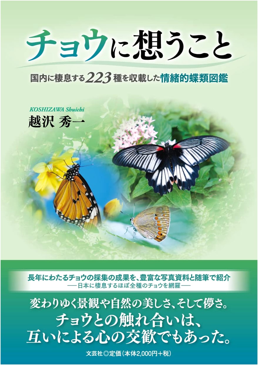 Thoughts on Butterflies: An Evocative Illustrated Guide to 223 Japanese Species