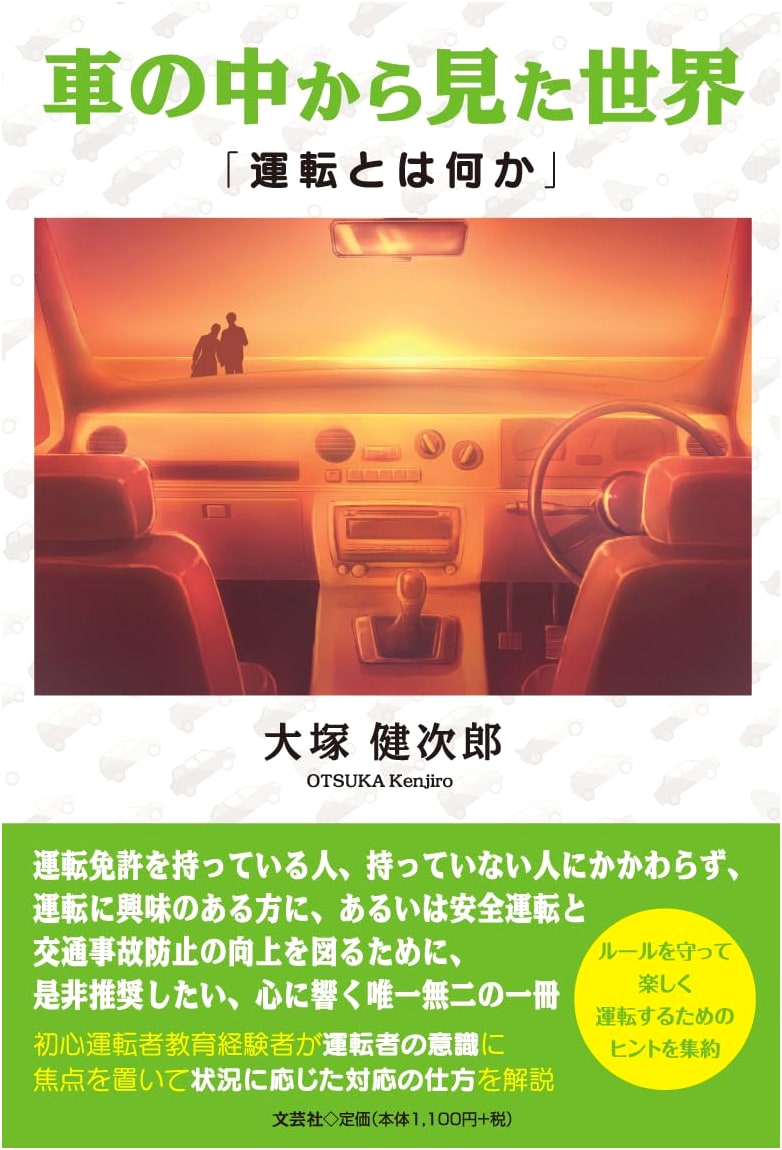 The World Seen from Inside a Car: What is Driving?