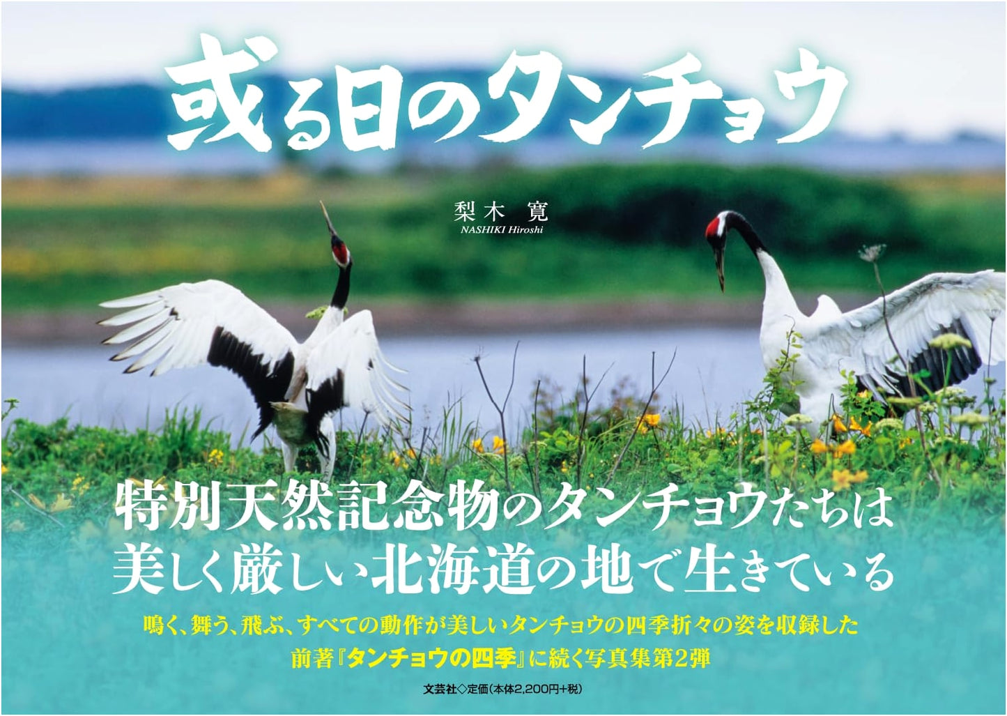 A Day with the Tancho Crane