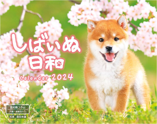 Shiba Inu Days: 2024 Calendar by Impress