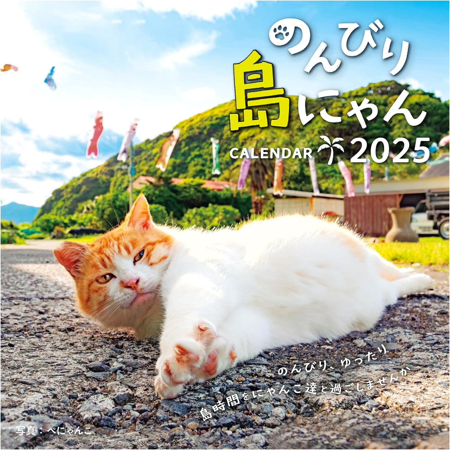 2025 Laid-Back Island Cat Calendar (Monthly/Wall-Mounted) - Imprint Calendars 2025