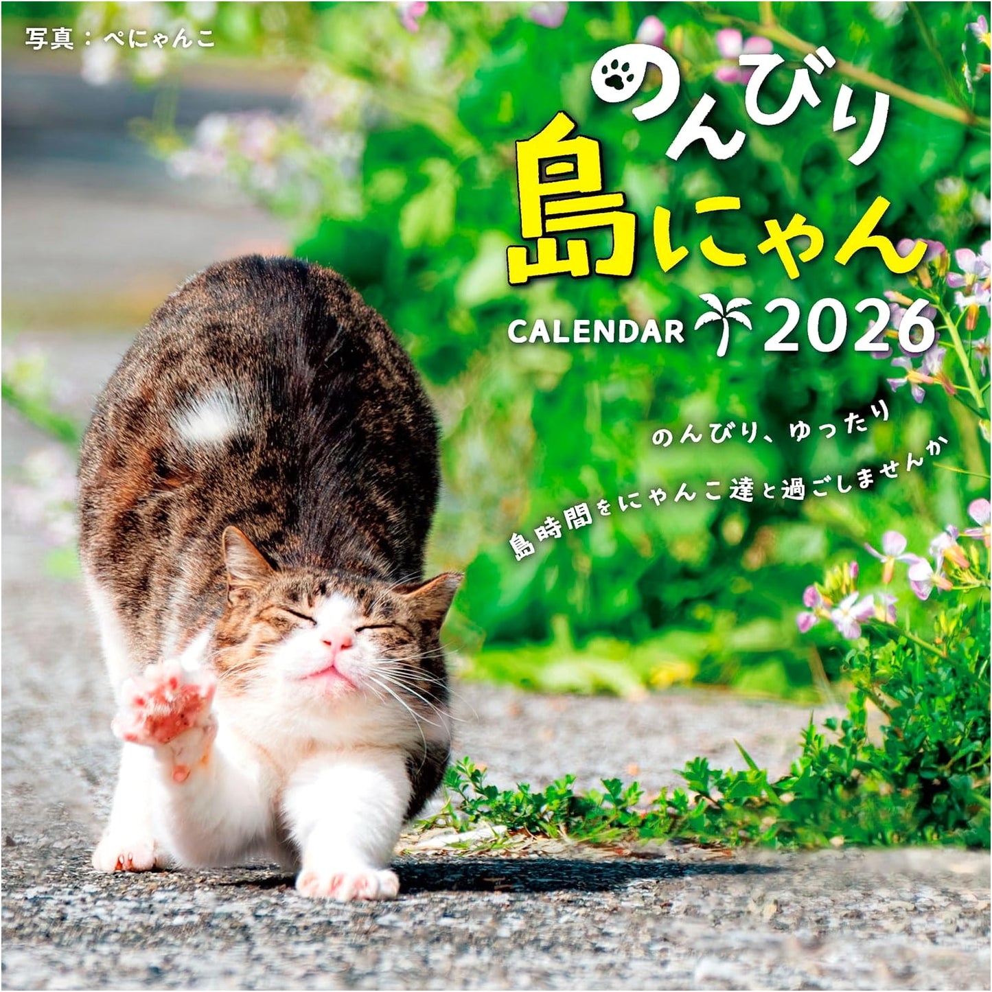 Relaxing Island Cats CALENDAR 2026 (Monthly/Wall/420mm x 210mm) with Bonus