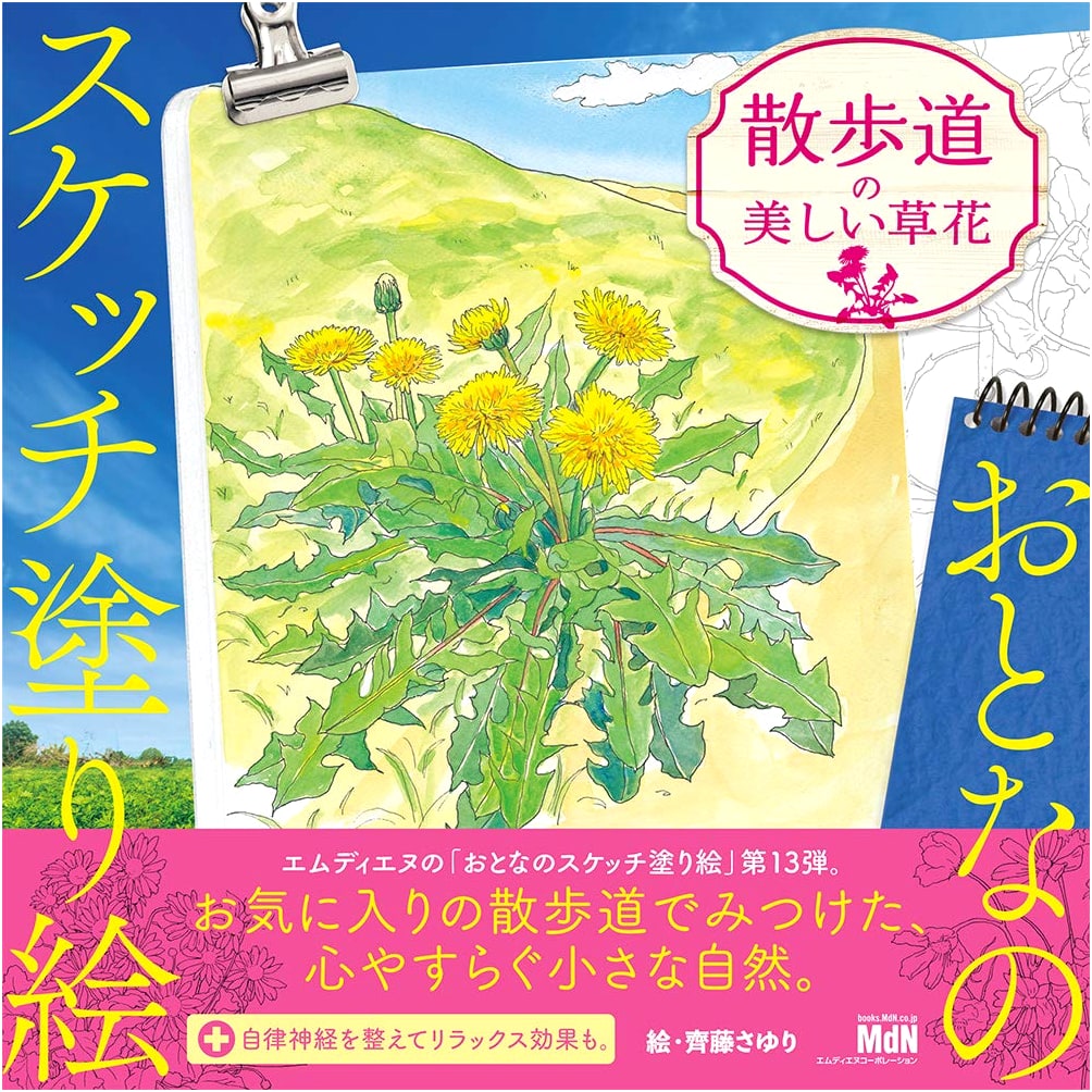 Adult Sketch Coloring Book: Beautiful Wildflowers on the Promenade