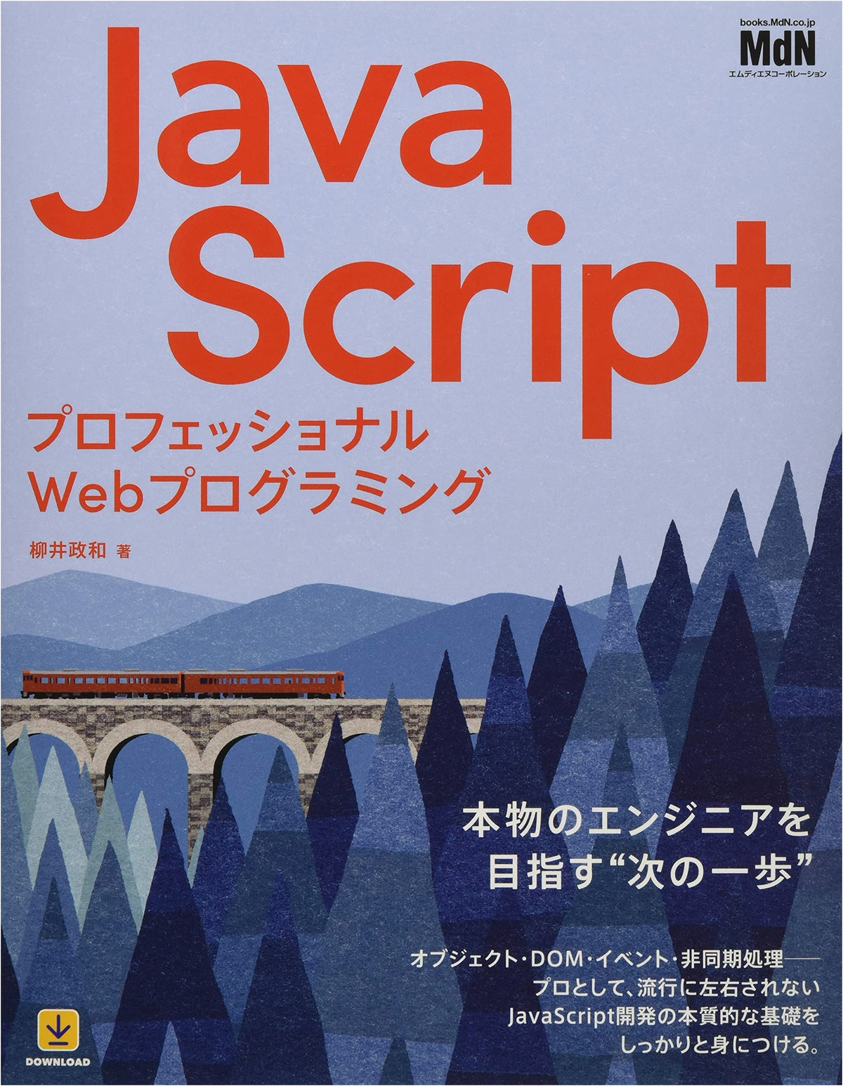 Professional Web Programming with JavaScript