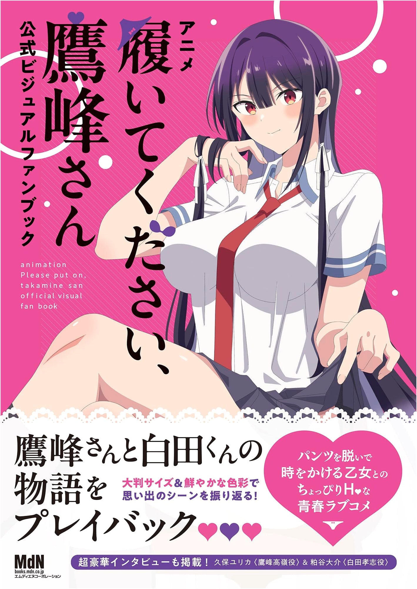 Please Put Them On, Takamine-san Official Visual Fan Book