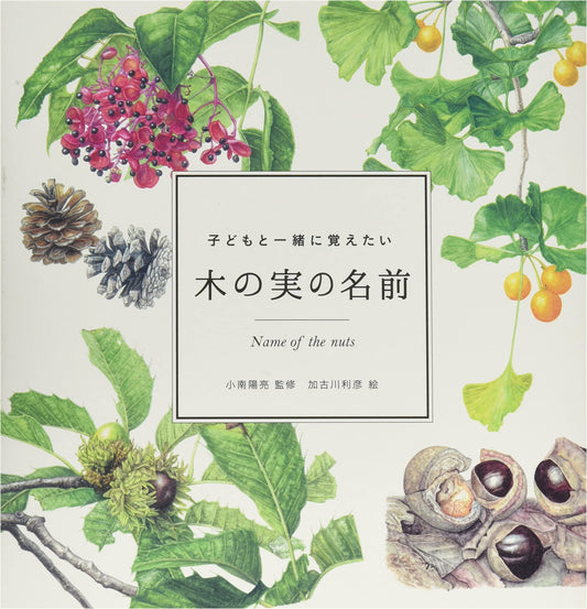 Discovering Tree & Berry Names with Kids (momo book)