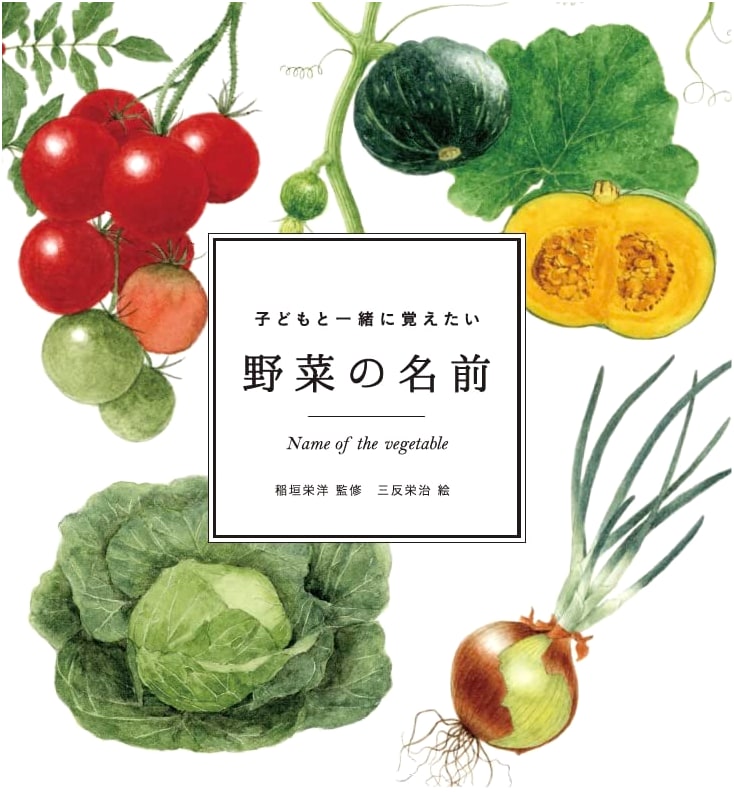 Vegetable Names to Learn with Your Children (momo book)