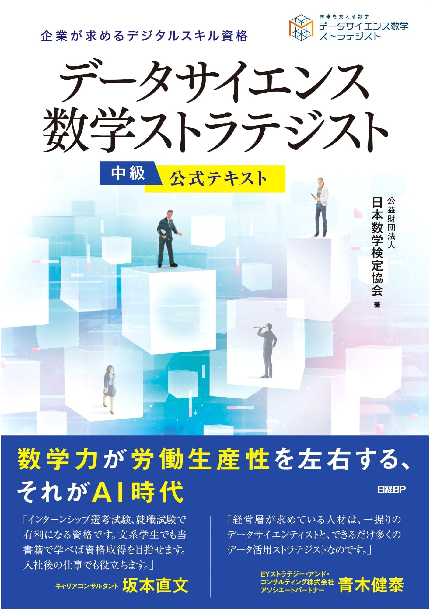 Official Textbook: Data Science Math Strategist (Intermediate)