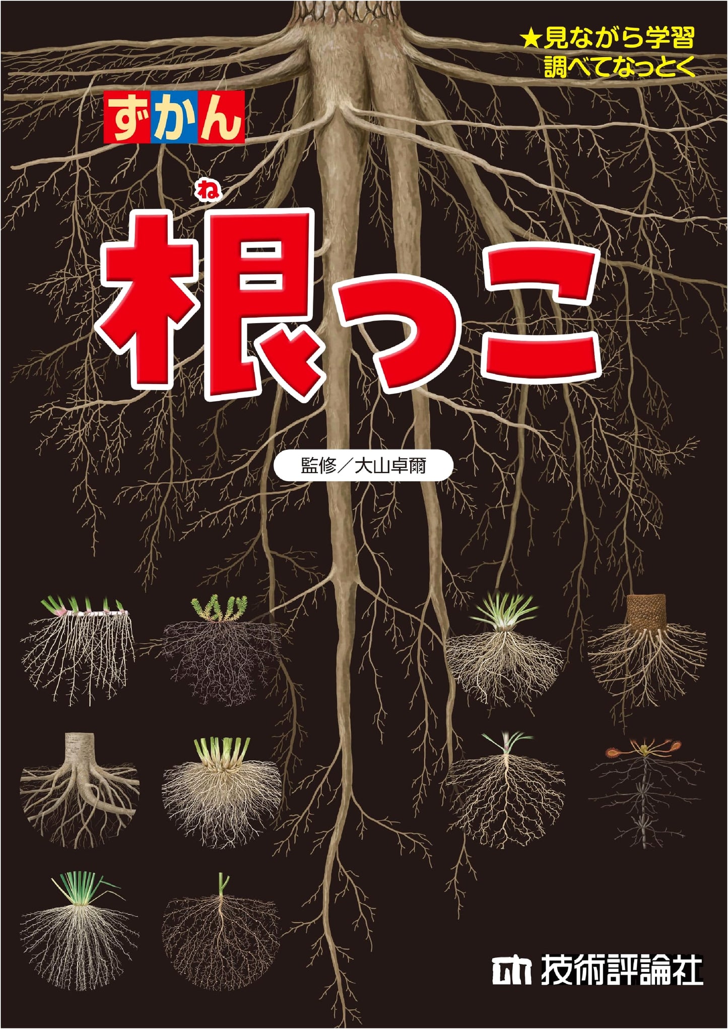 The Root: Exploring Foundational Concepts in Technology