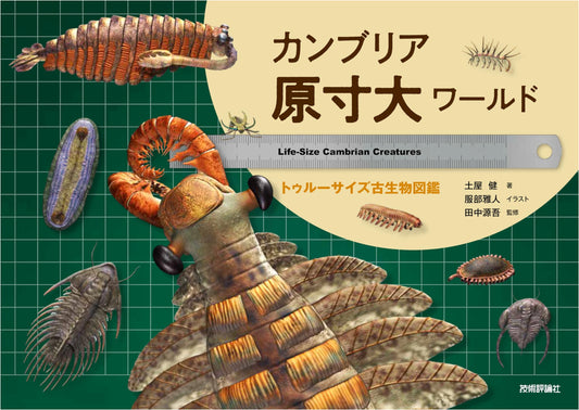 Cambrian True-Size World: An Illustrated Guide to Prehistoric Life