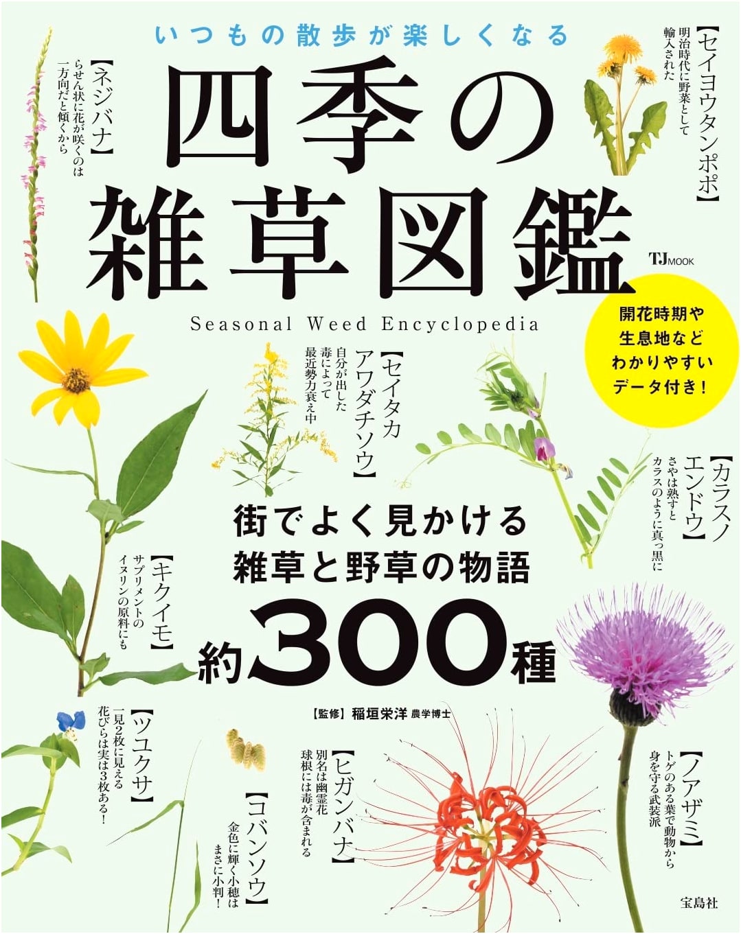 Illustrated Guide to Four Seasons Wild Plants: Enhance Your Daily Walks (TJMOOK)