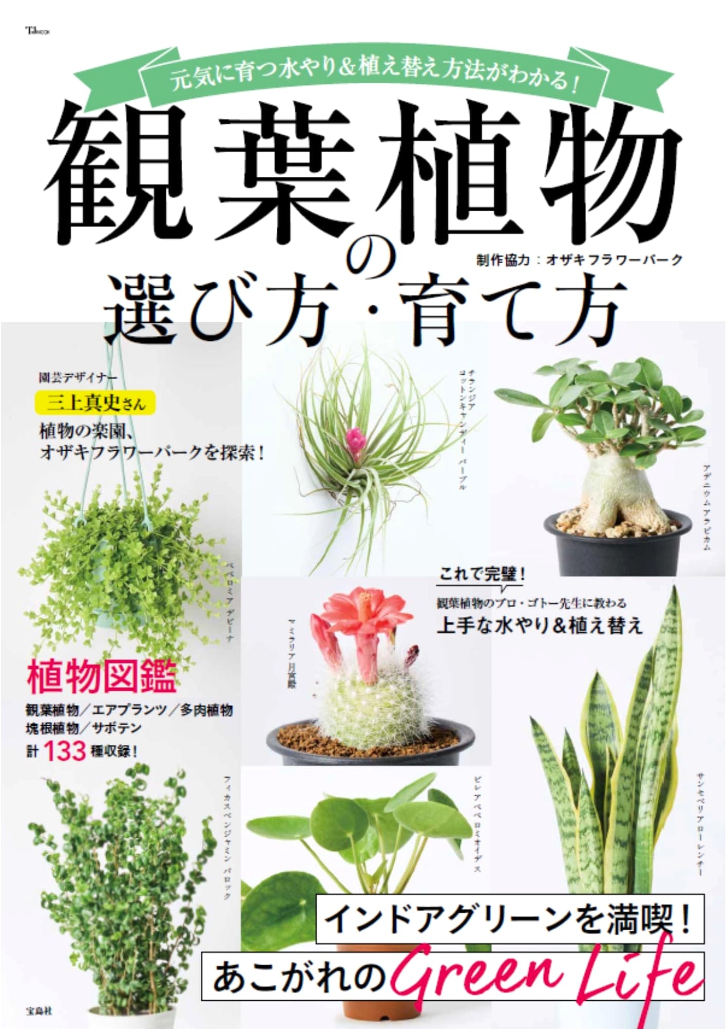 How to Choose and Grow Houseplants (TJMOOK)