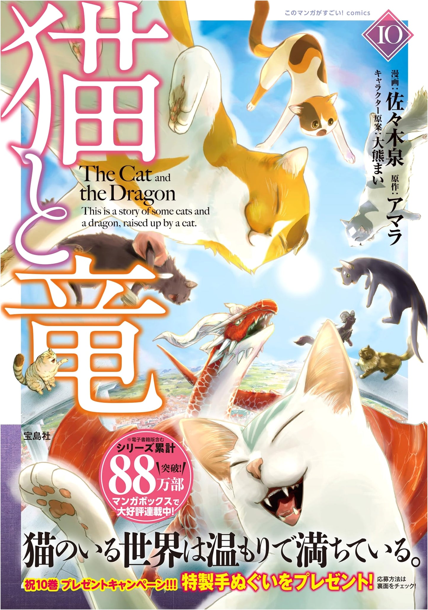 Neko to Ryu 10 (Cat and Dragon 10)