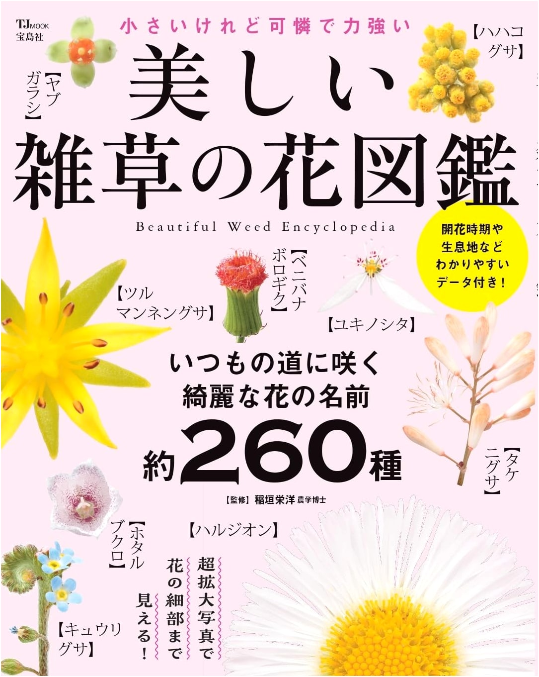 Beautiful Wildflower Encyclopedia (TJMOOK)