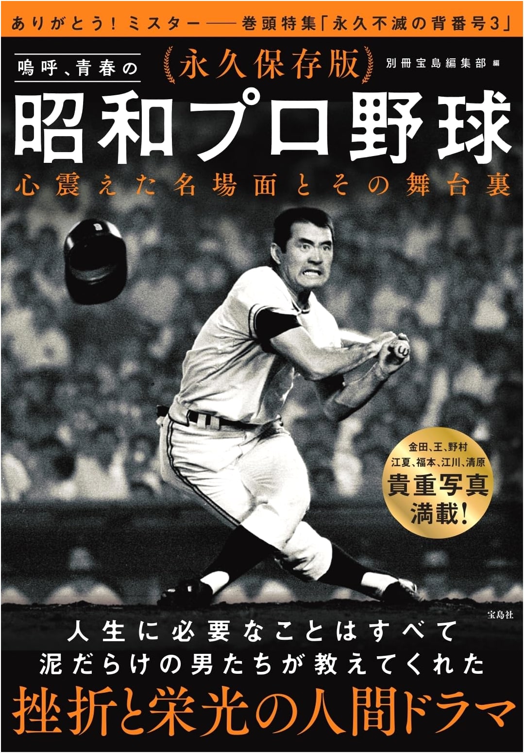 Eternal Preservation Edition: Ah, Youthful Showa Pro Baseball – Heart-Stirring Moments and Behind the Scenes