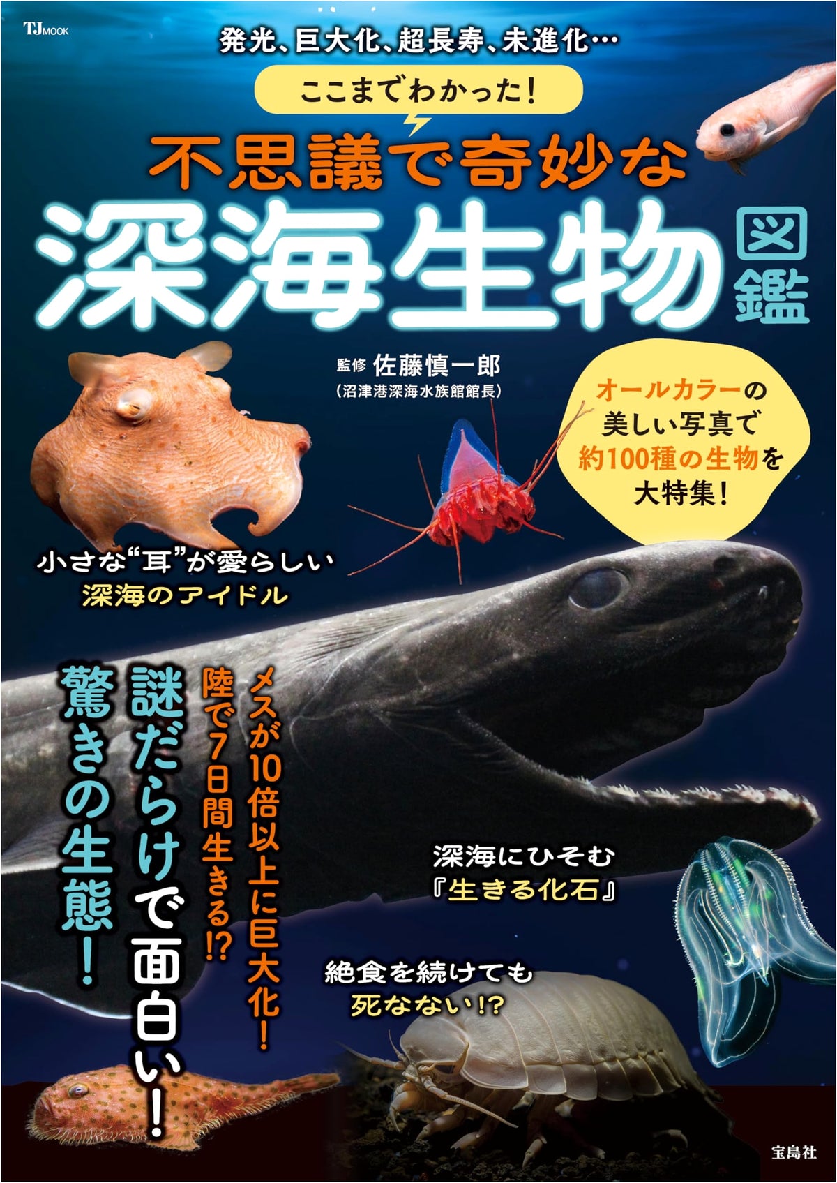 Mysterious & Bizarre Deep-Sea Creatures Encyclopedia: What We Know So Far