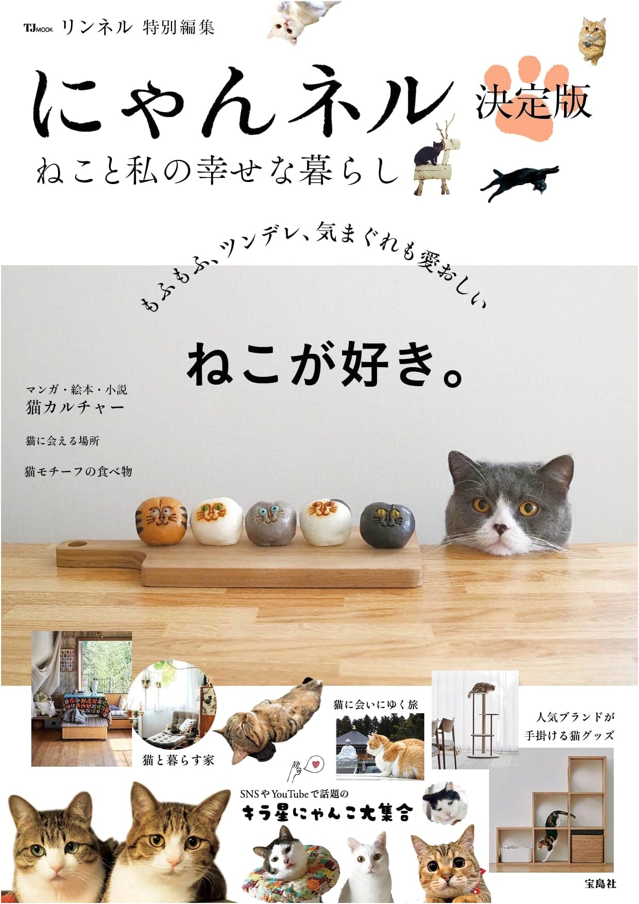 Nyan-nel: A Special Issue on Cats and Happy Living (TJMOOK)