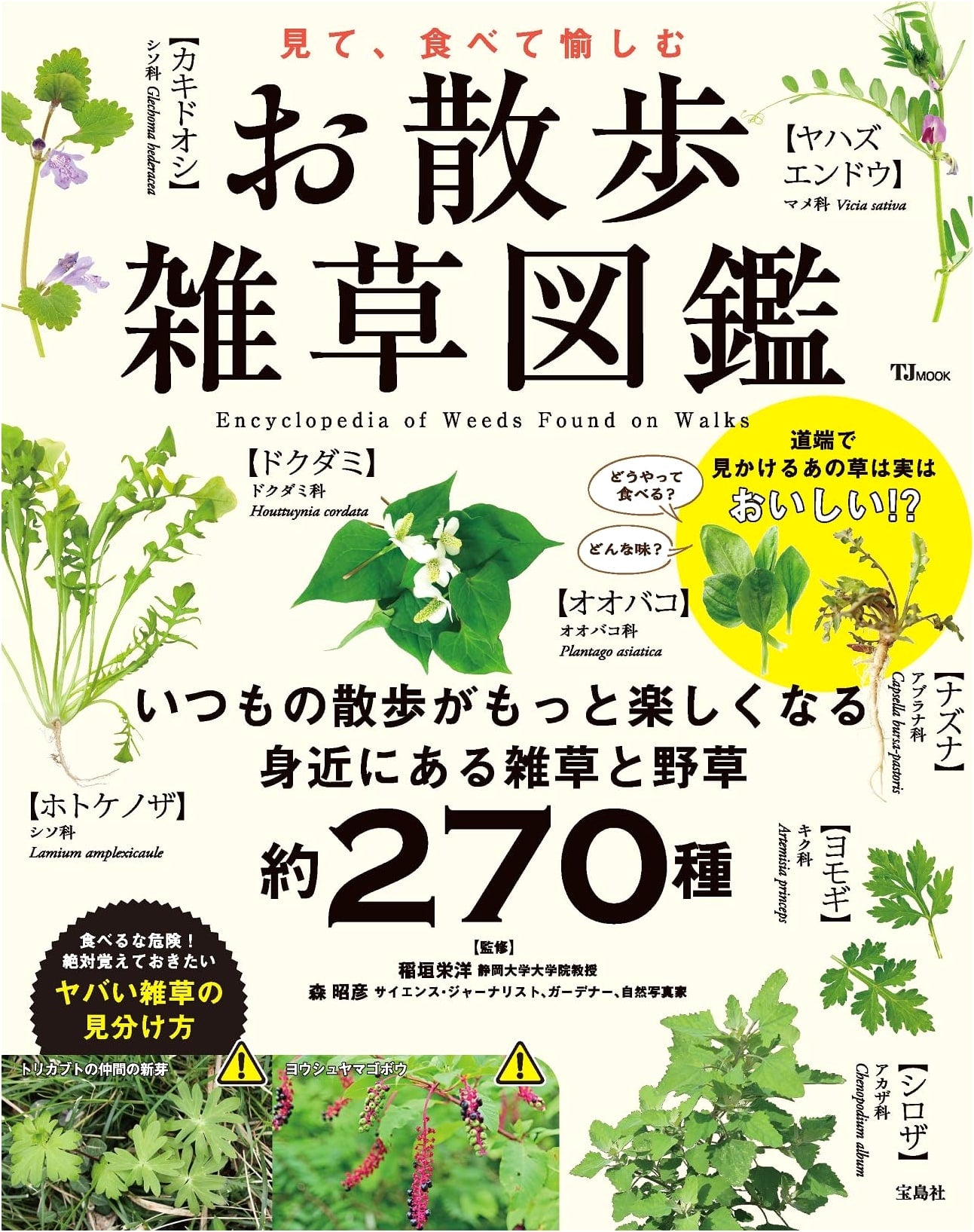 Enjoying Wild Plants: A Pictorial Guide for Walks (TJMOOK)