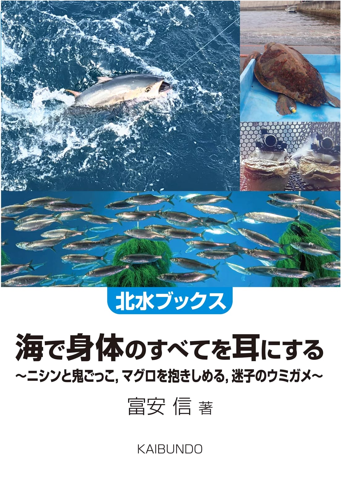 Hearing Everything with My Body in the Sea (Hokusu Books)