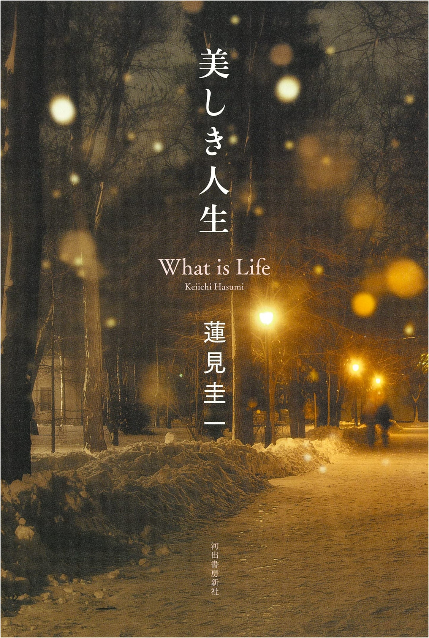 A Beautiful Life