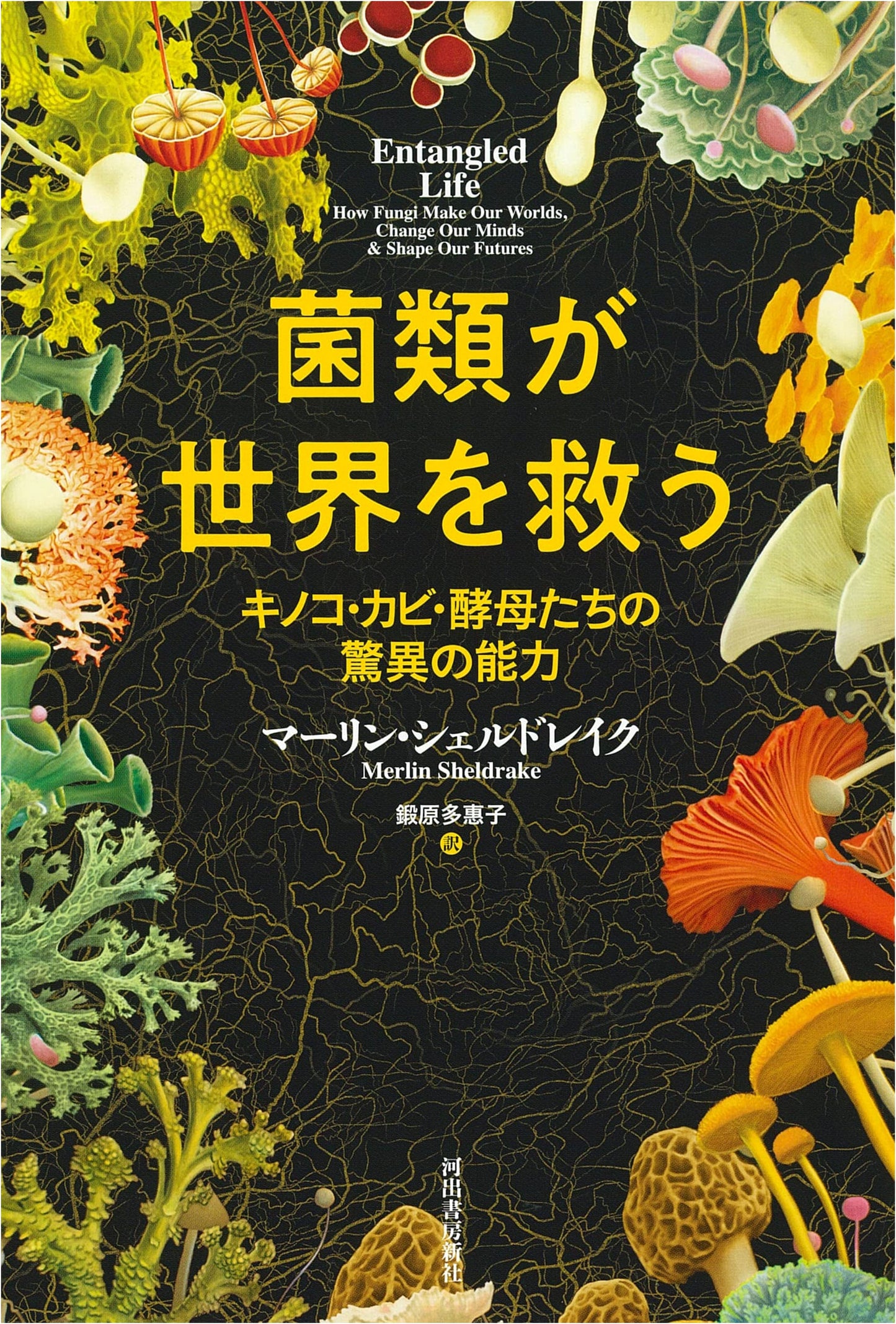 Fungi Save the World: The Amazing Abilities of Mushrooms, Molds, and Yeasts