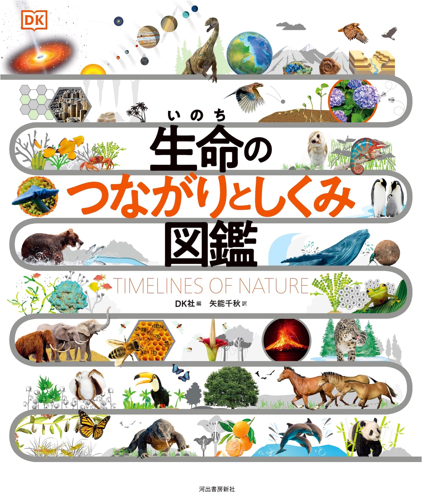 Illustrated Encyclopedia of Life's Connections and Mechanisms