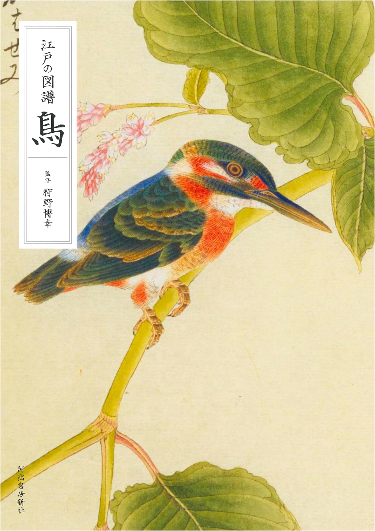 Edo's Avian Splendor: A Pictorial Compendium of Japanese Birds